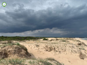 We hebben veel van deze donkere wolken gezien