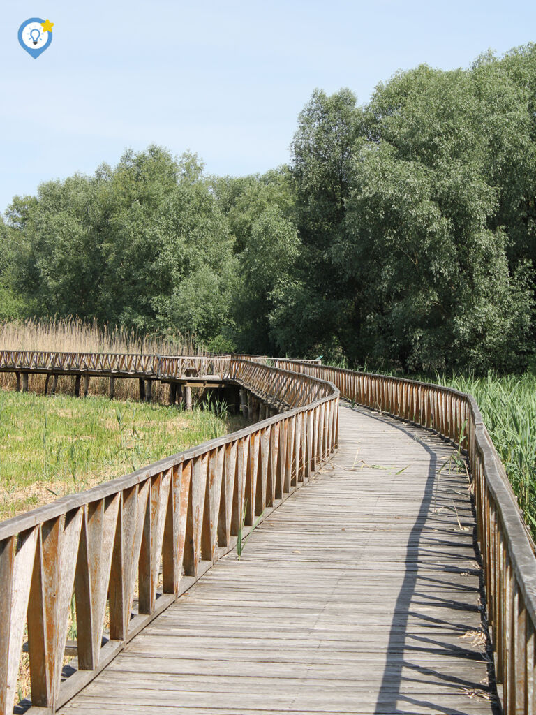 Een van de houtenbruggen in het natuurpark